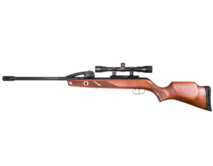 Gamo Fast Shot 10X IGT