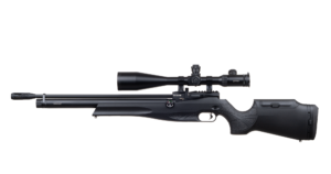 Reximex Daystar Black