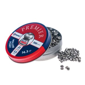 Crosman Hollow Point